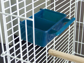 Divided Perch Cup 12 oz.